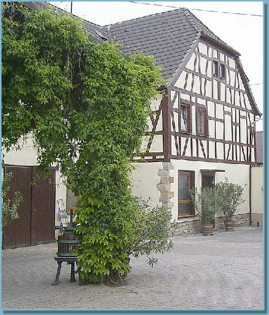 Weingut Harald Scholl