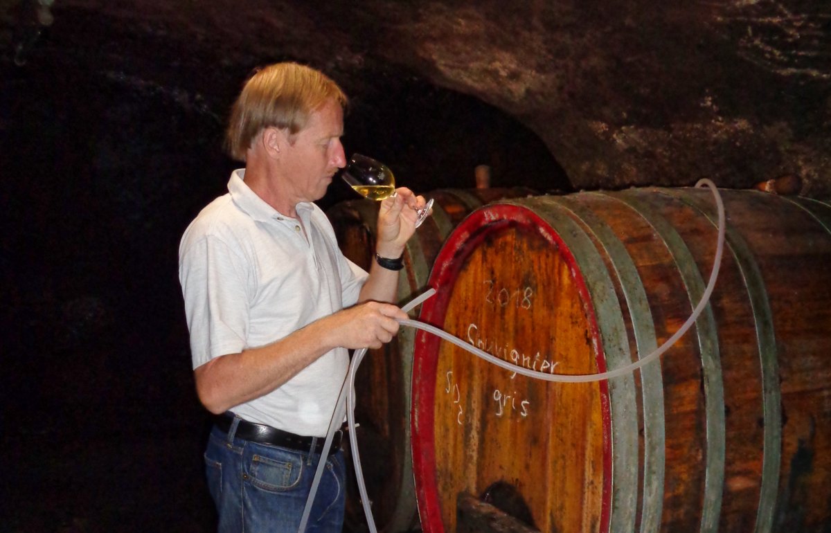 Foto 4 von Weingut Harald Scholl