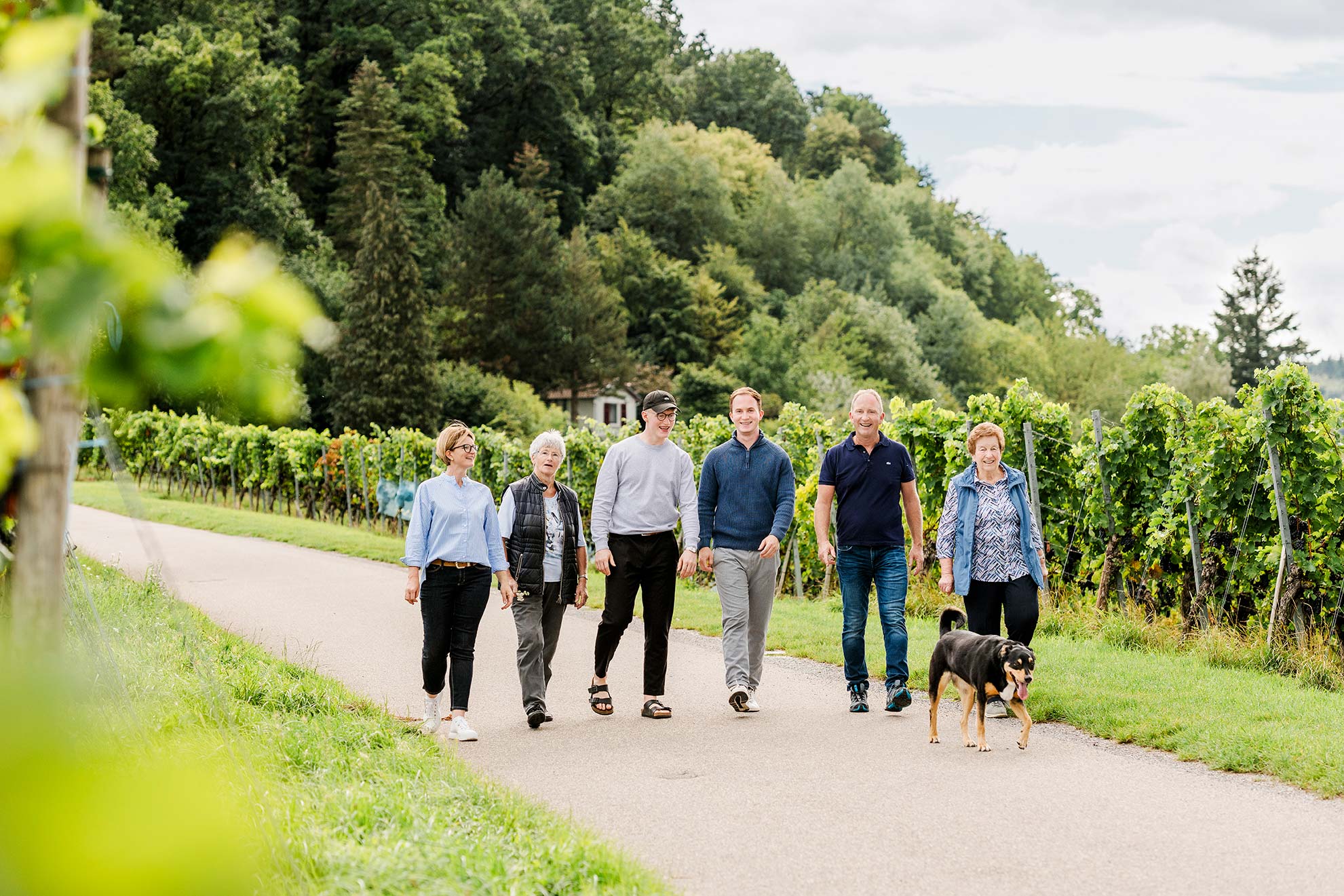 Photo 4 of Weingut Hartmut Luckert