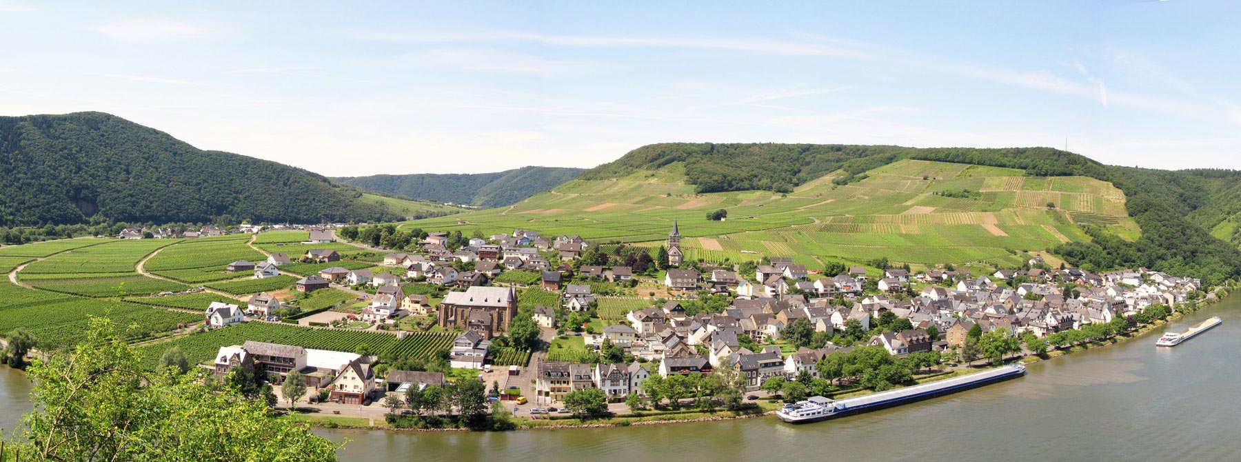 Foto 6 von Weingut Hausmann