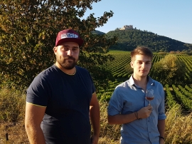 Foto 4 von Weingut Heilweck