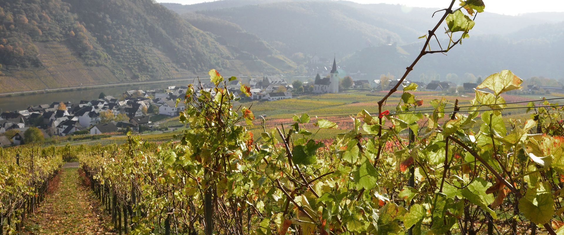 Foto 4 von Weingut Heinrich Basten